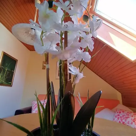 Apartma Ob Savi Apartman *